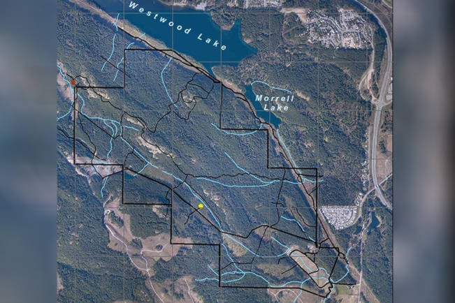 17051499_web1_190530-NBU-Nanaimo-Lantzville-councils-make-moves-on-DNDs-Westwood-Lake-Lands_1