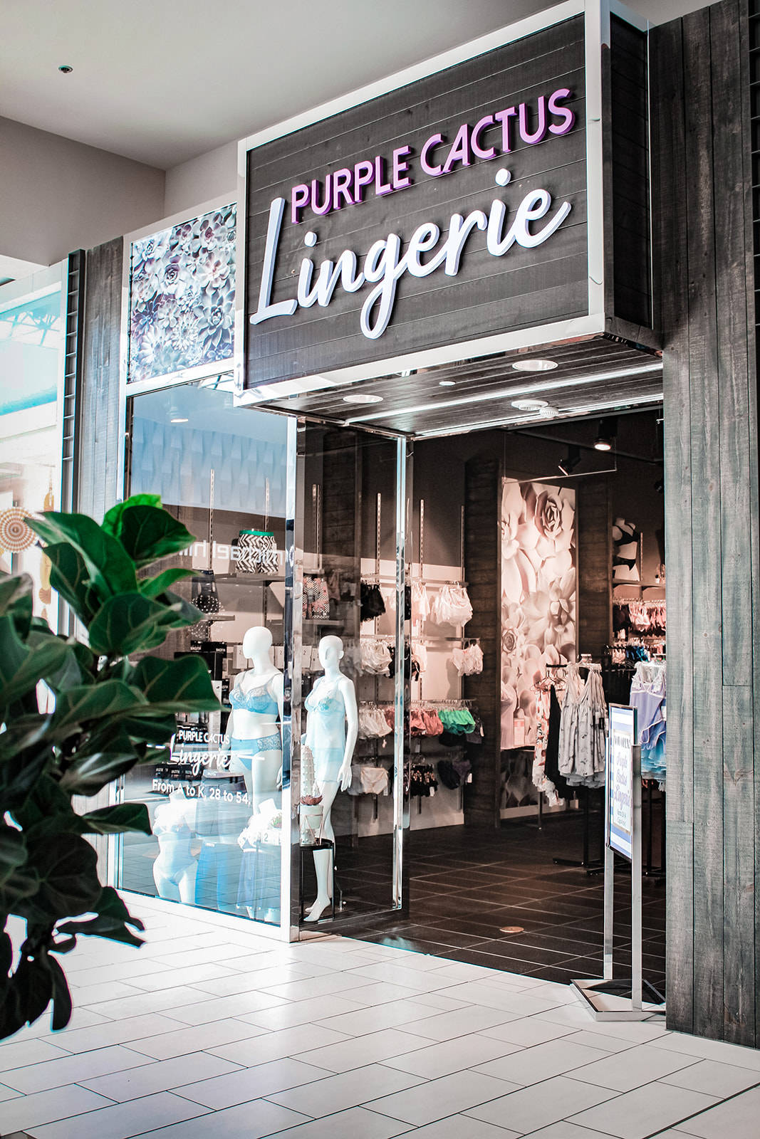 If cacti wore lingerie they d shop here Nanaimo News Bulletin