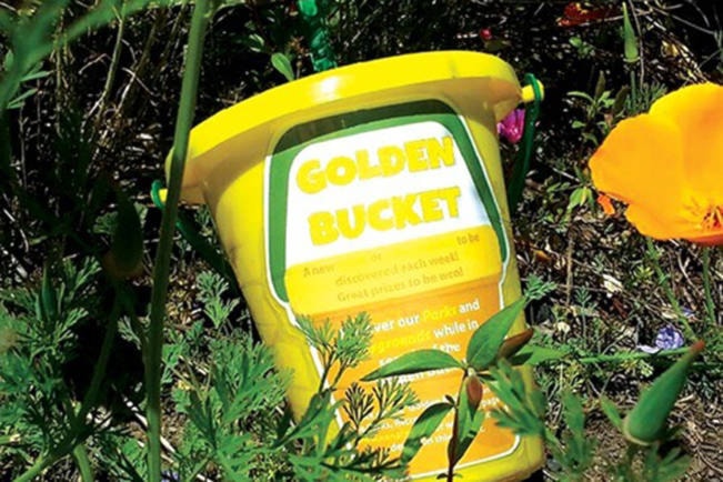 21498446_web1_200513-NBU-golden-bucket-1_1
