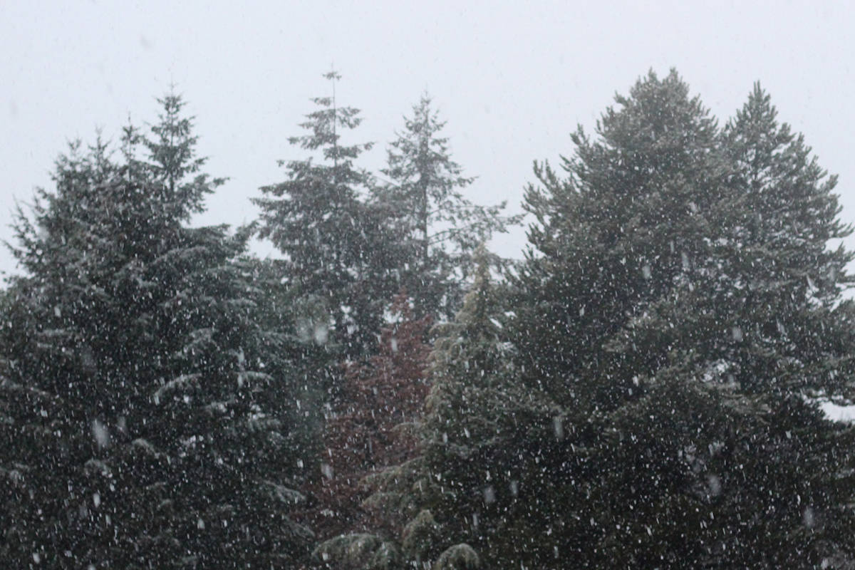 23702031_web1_201223-NBU-snow-nanaimo-1_1