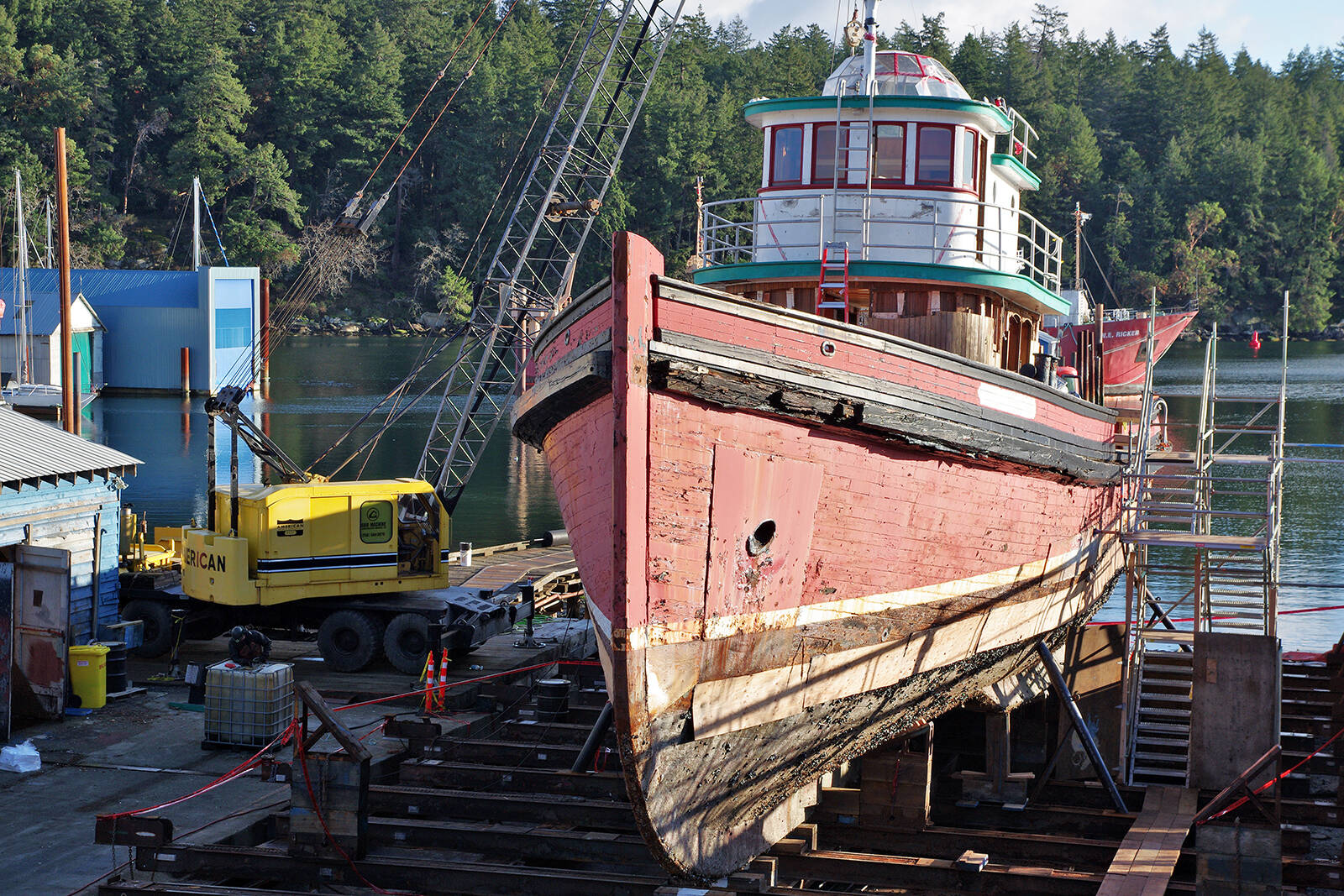 27558819_web1_211217-NBU-Sea-Lion-Scrapped-_1