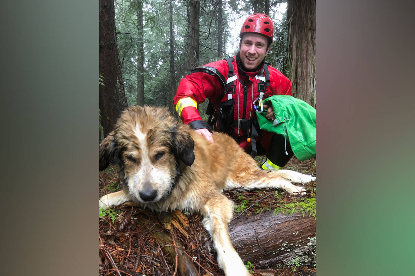 27807754_web1_220112-NBU-Firefighters-rescue-dog-that-fell-through-ice-_2