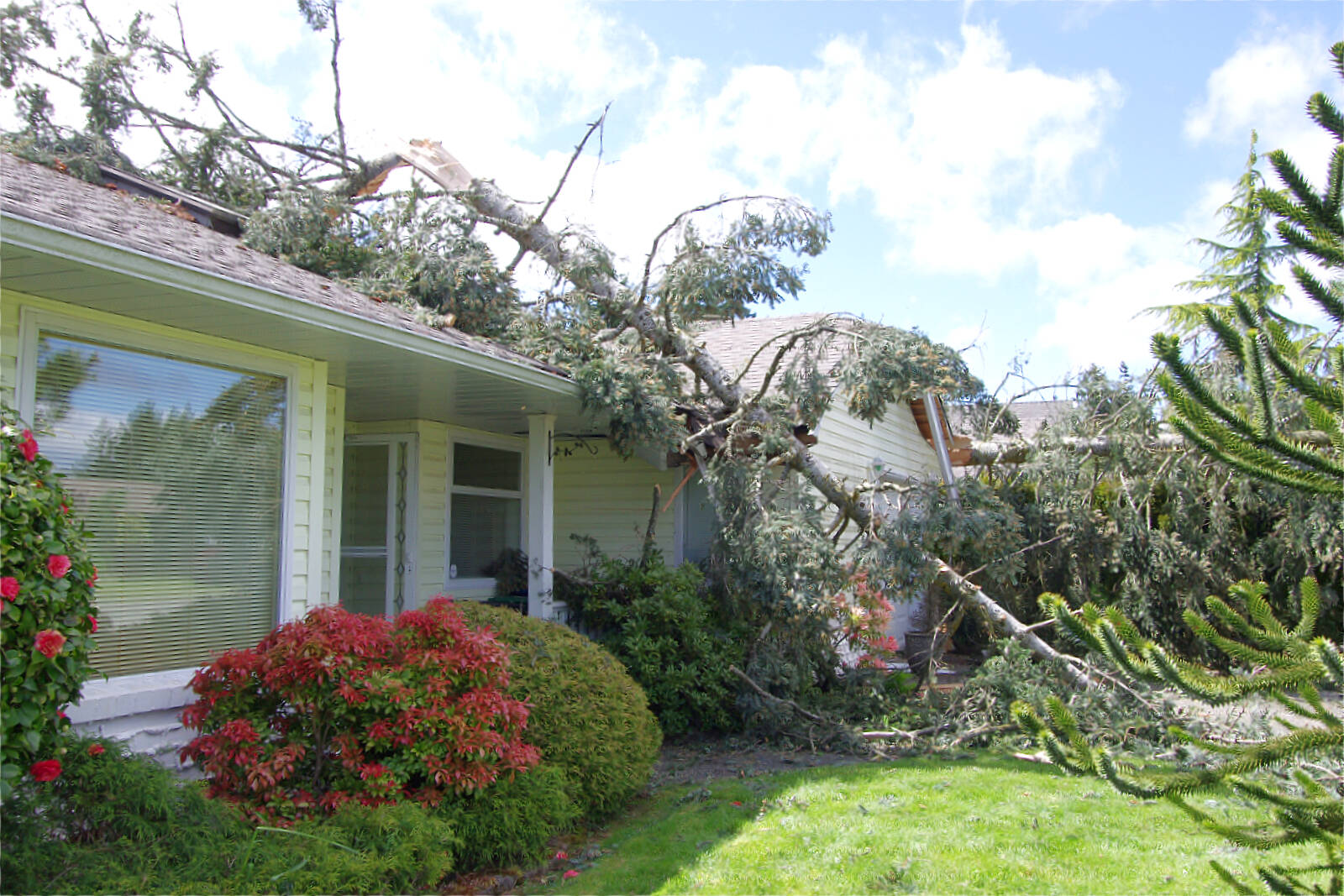 29175966_web1_copy_220518-NBU-Michigan-Way-trees-down-_1