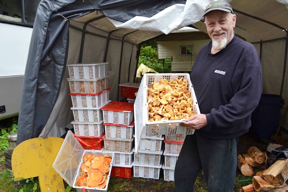 30624154_web1_221003-UWN-wild-mushroom-prices-skyrocket-CLIMATE_1