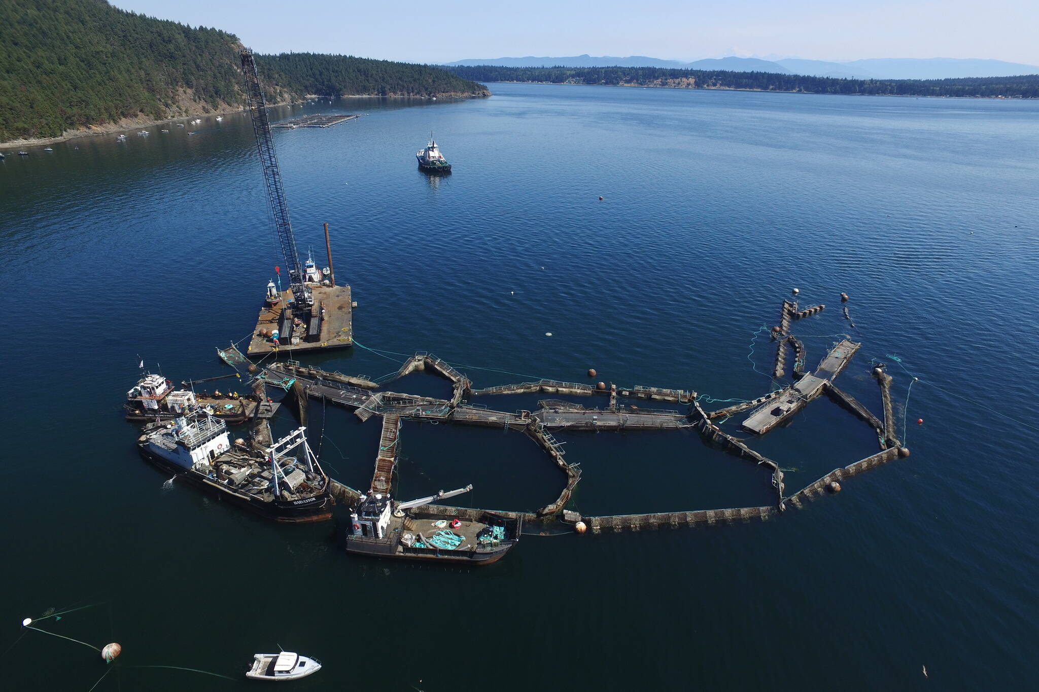 B.C. aquaculture fishing for new answers as it faces its murky future in  2023 - Nanaimo News Bulletin