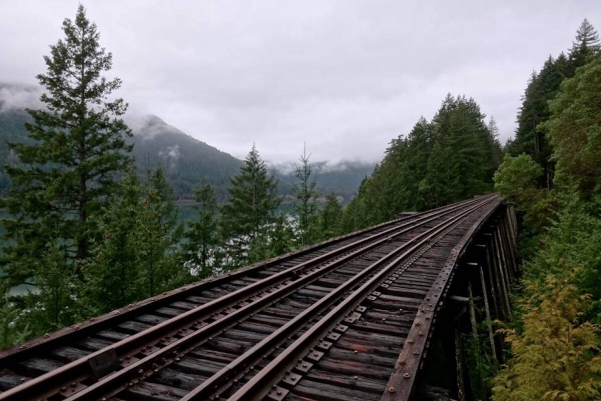 The federal government must state its intention for the future of the Vancouver Island Rail Corridor by mid-March. (Photo by Mike Bonkowski for Island Corridor Foundation)