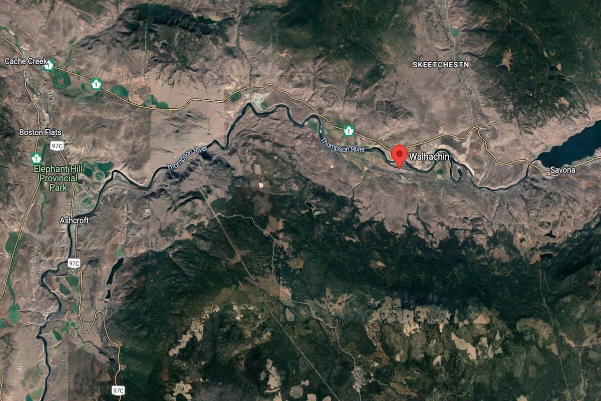 Area where the horses were found. (Google)
