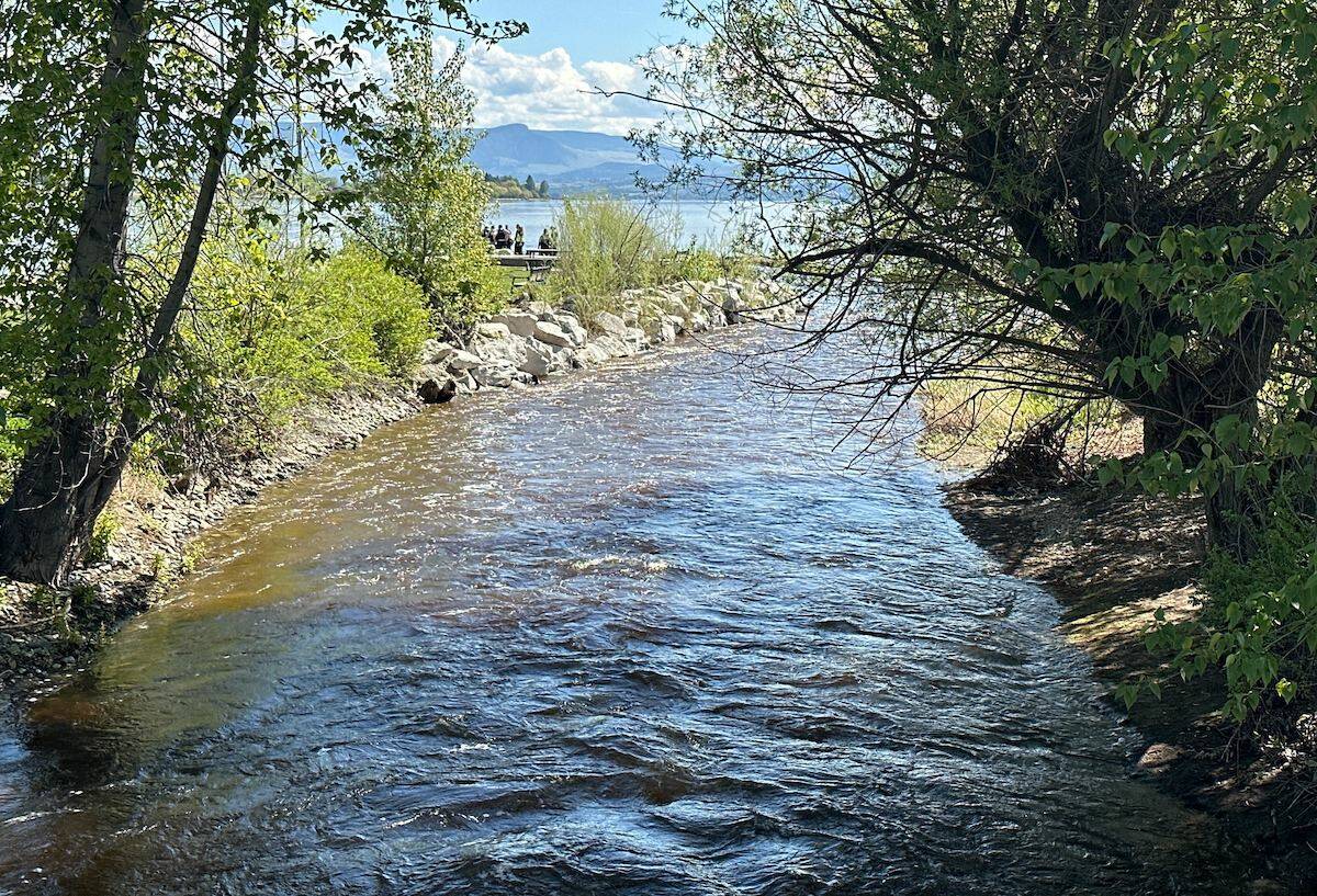 Powers Creek on the morning of May 11. (Brittany Webster/Capital News)