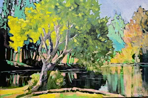 Nanaimo artist explores flow of colour for latest show
