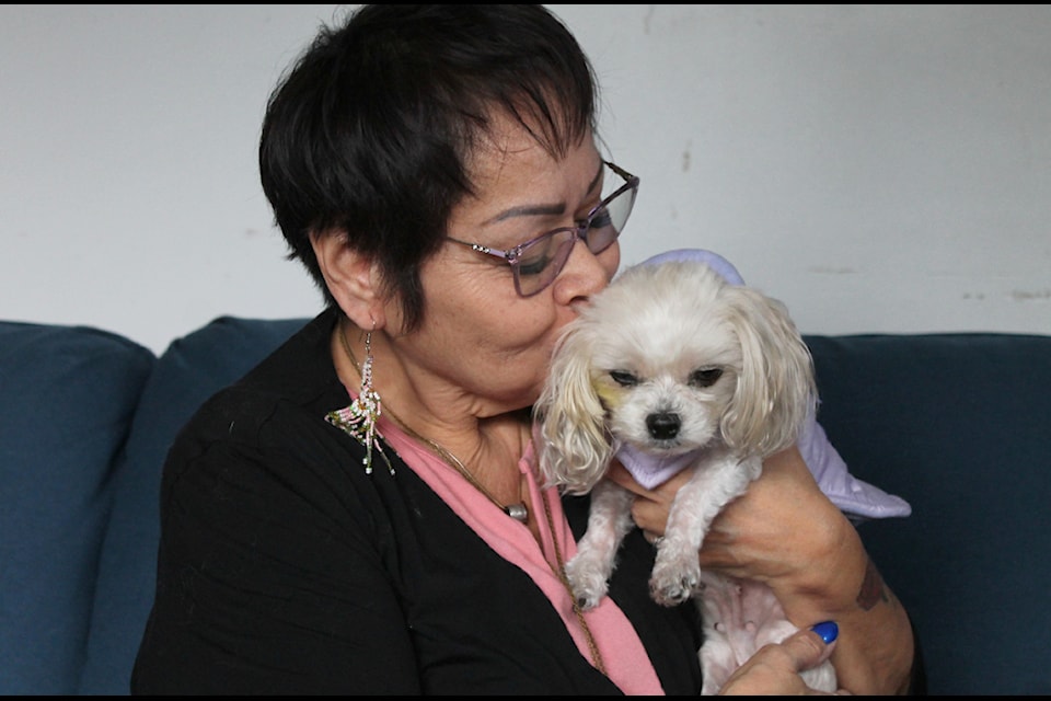 Mary Martin kisses her senior Maltese named Sweet Pea. (Jessica Durling/News Bulletin)