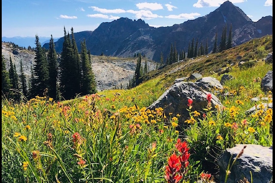 The Whitewater Canyon area of the Selkirk Mountains within the proposed tenure of the Zincton ski resort. 
