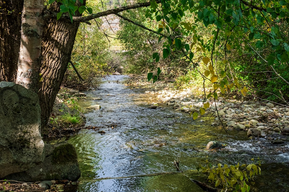 Cottonwood Creek in the proposed kokanee enhancement area in September, 2024. 