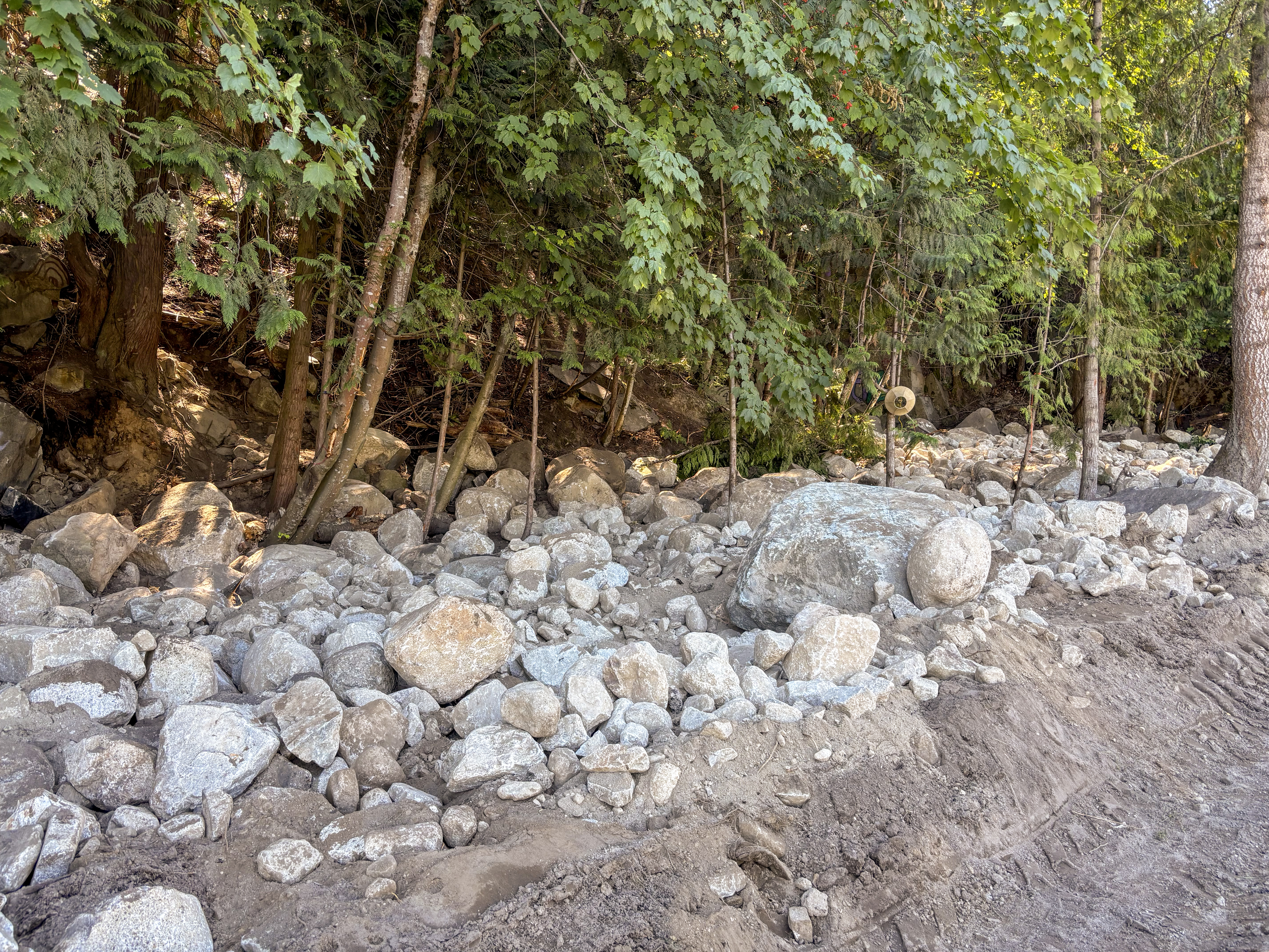 City of Nelson Government Road camp Nelson Star