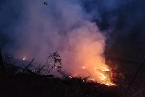 Three fires extinguished in Nelson within 24 hours