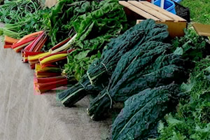 Nelson council moves Wednesday market back to Baker Street for the summer