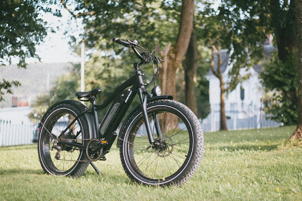 ebike