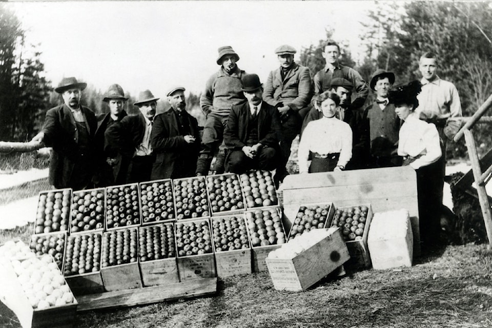 Apple packing at Crawford Bay, around 1919. Fruit farming was a major industry across the West Kootenays. Farms could be found on both sides of the Kootenay Lake West Arm, at Shutty Bench, in the Lardeau area and around Boswell. There was also much fruit growing in the settlements of the Slocan Valley and Arrow Lakes. Fauquier and Burton were noted for their quality and production of strawberries, whereas Kaslo was the hub of the Kootenay cherry industry.