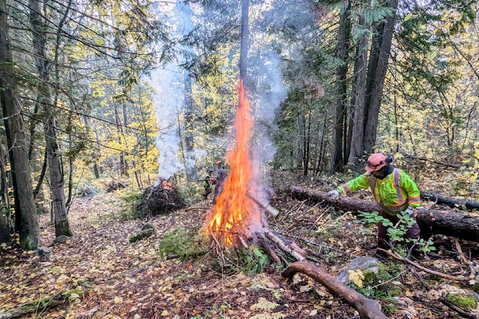wildfire1