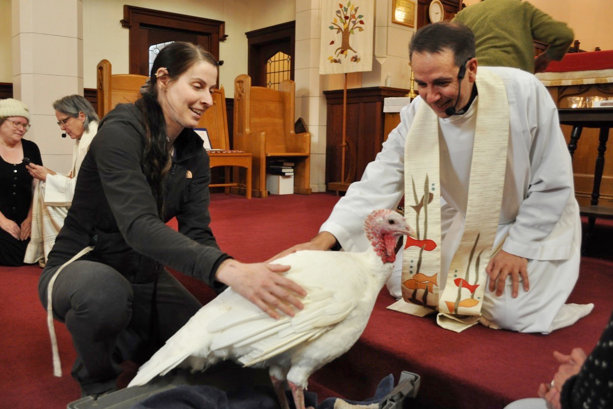 All dogs (and turkeys) go to heaven: Pets receive blessings at Nelson church