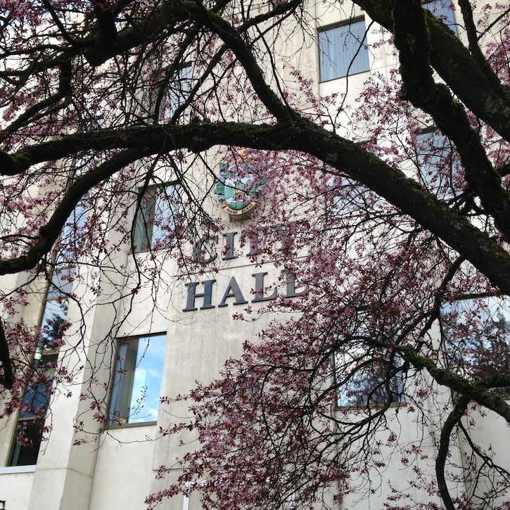 Council accepts Nelson Commons ‘restricted resale’ concept Nelson Star