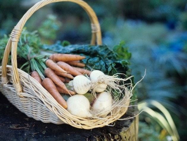 Basket of turnips and carrots, close up