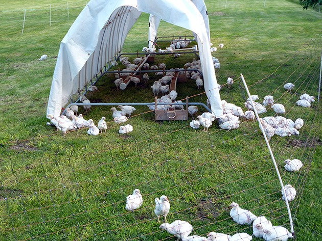 West Kootenay’s only abattoir shuts down