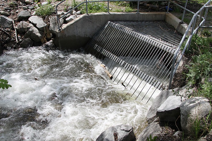 68897westernstar05_23creekwatch