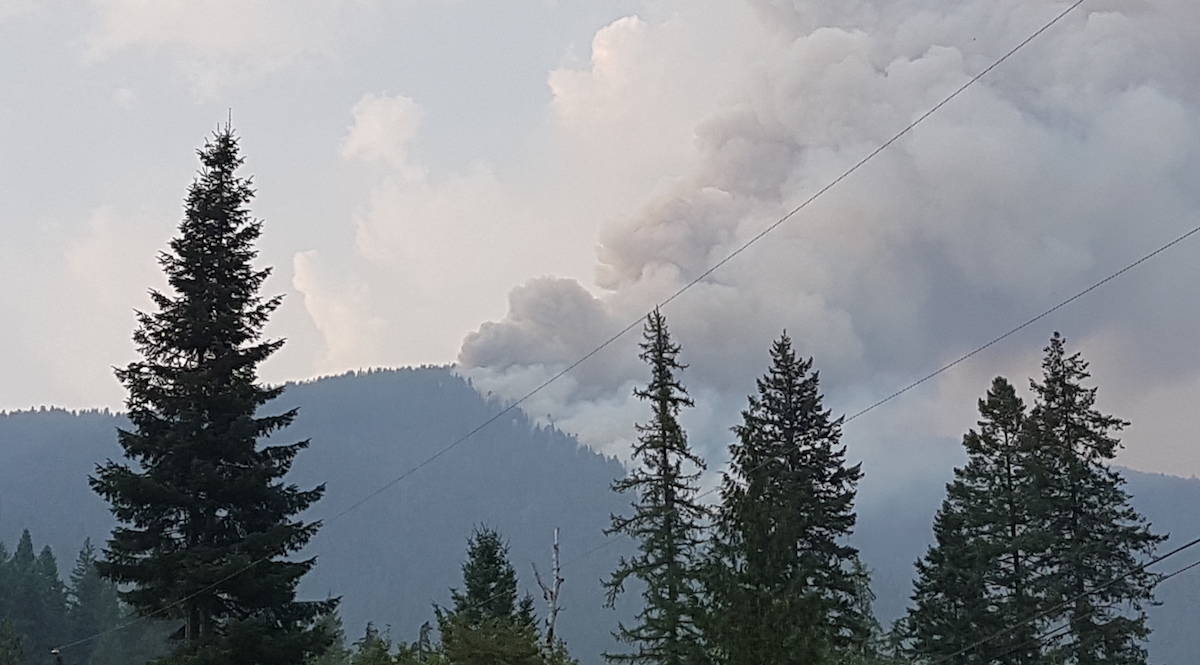 Evacuation Alert for North Shore Nelson