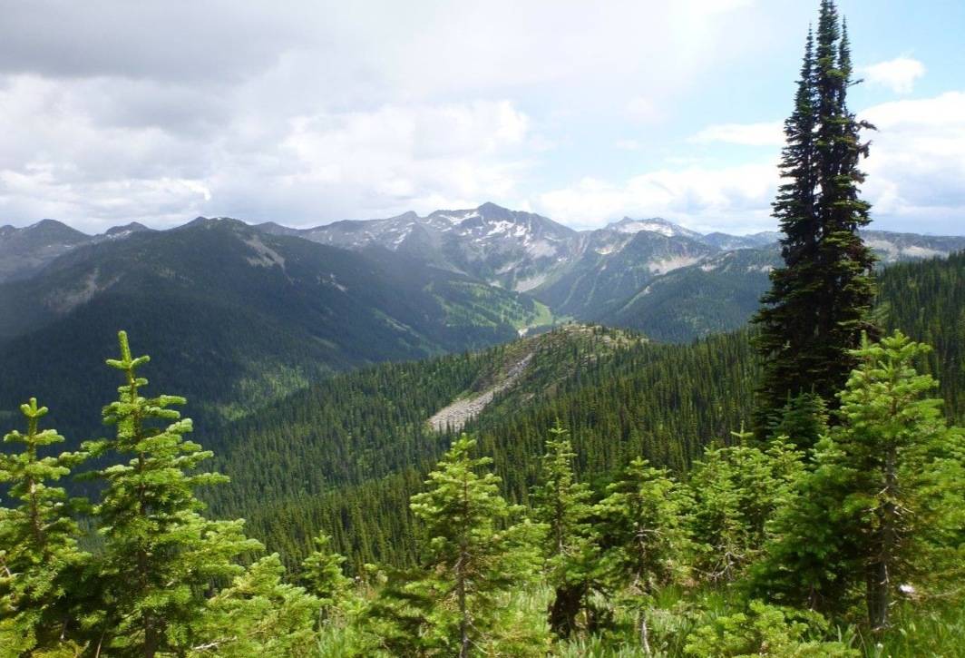 Reducing fire danger in West Arm Park