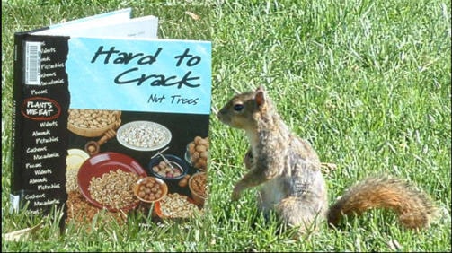 8799245_web1_copy_squirrel-reading-book-Hard-to-Crack-Nut-Trees-via-Yorklib-on-Flickr