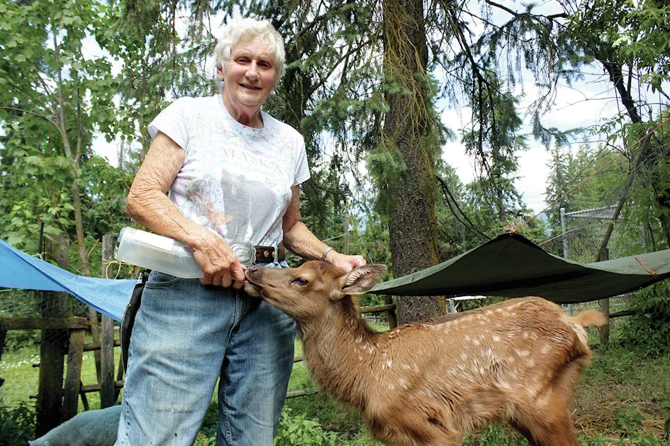 Helen Jameson, who was Nelson’s 2016 Citizen of the Year, spent over 50 years rehabilitating injured wildlife. She passed away on July 12, 2024. (File photo)