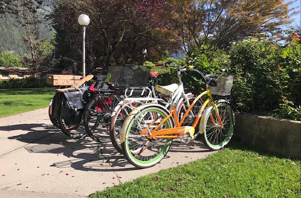 Nelson electric bikes shop