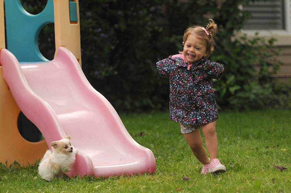 25482584_web1_210612-CPL-Limb-Difference-Puppy-Comes-Home_2