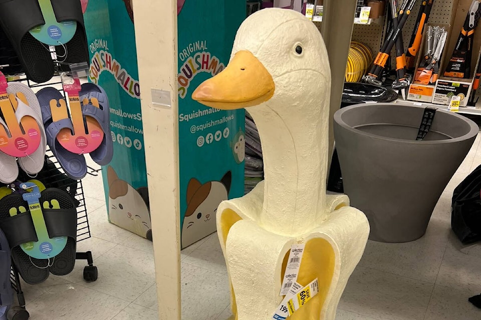 29844676_web1_220721-BPD-Bananaduck-ducknana_1