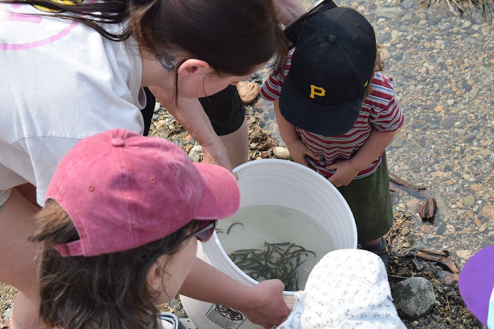 32914842_web1_230608-KWS-SlocanSalmon-kids_1
