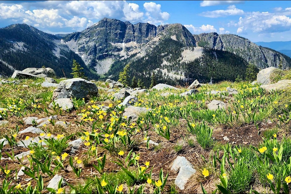 Brenda Haley shares her panoramic view from a Sunday hike in the Kootenay Pass. Photo: Brenda Haley
