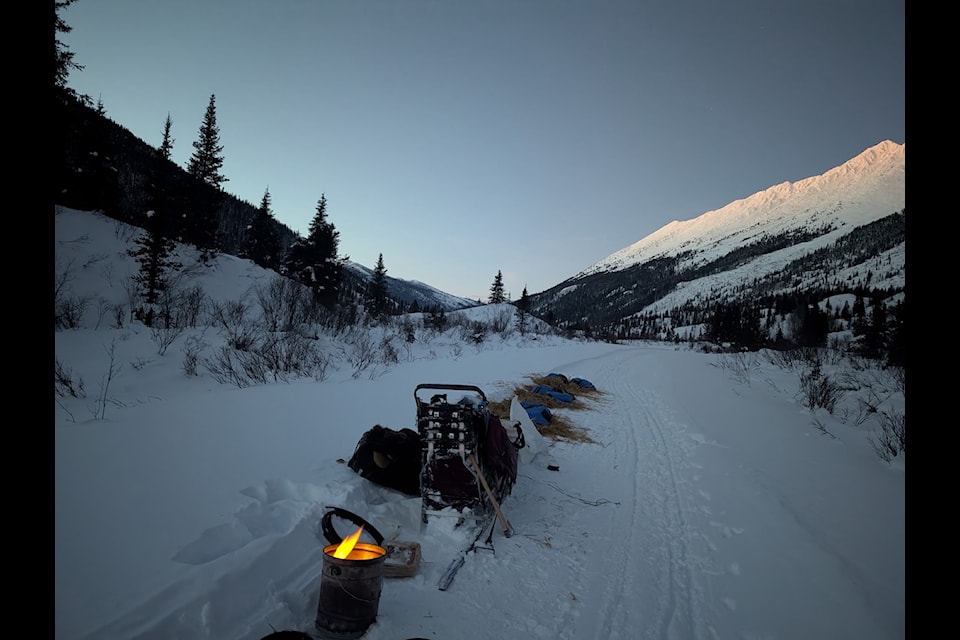 Johnny Koe's camp during the Yukon Quest dog sled race earlier this month. Photo courtesy of Johnny Koe