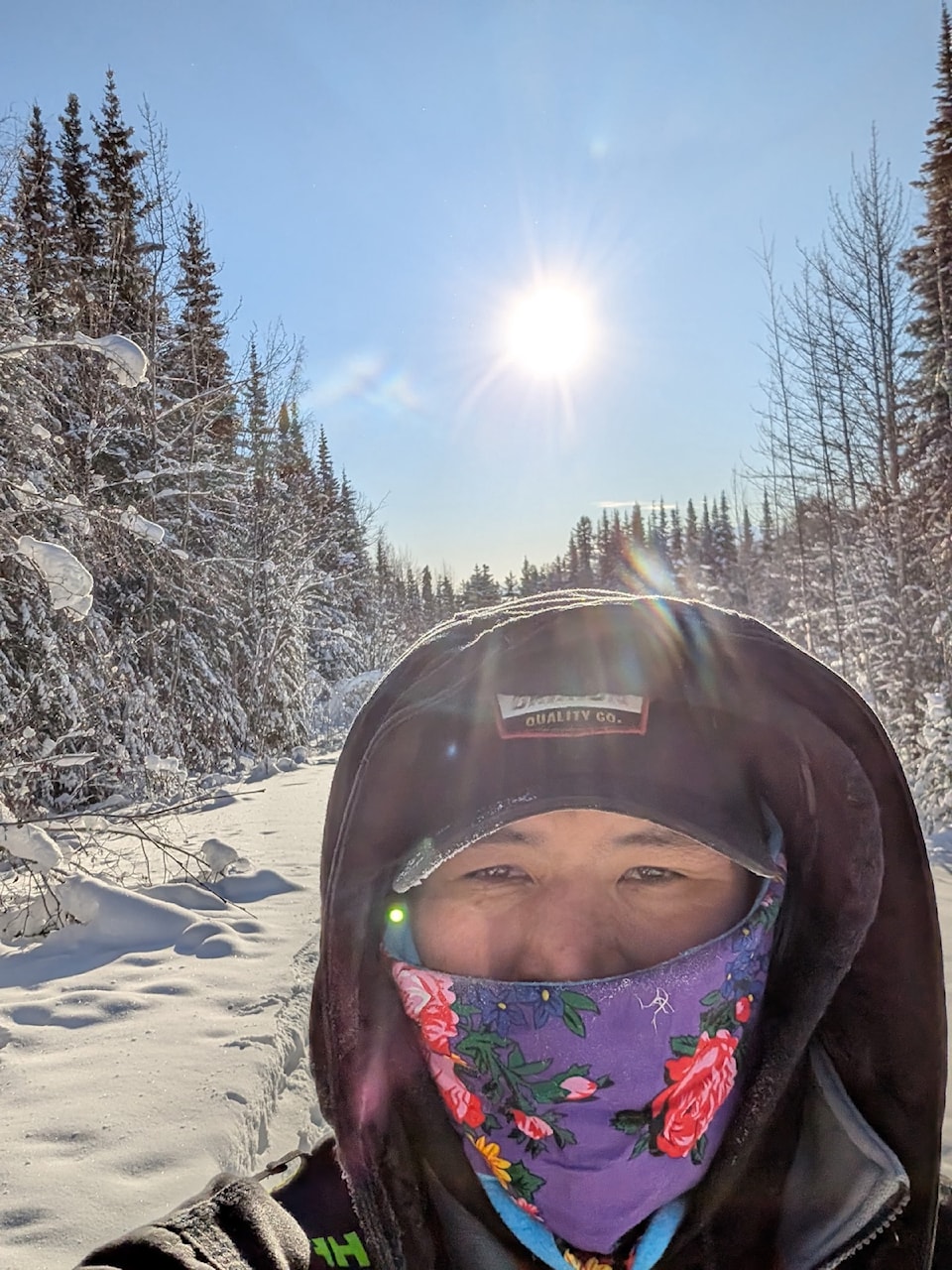 Gwich