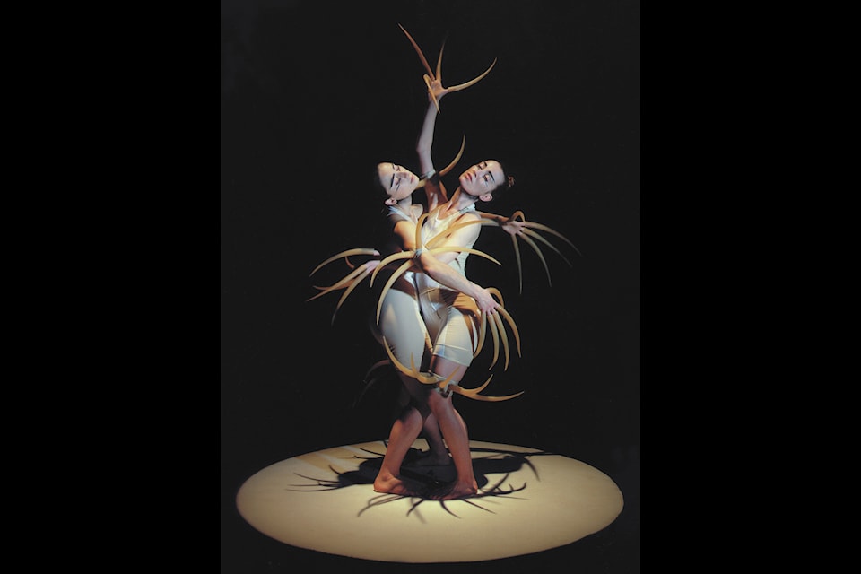 Prelude to the Afternoon of a Faun and the Rite of Spring will grace the NACC stage in February. Photo courtesy of NACC