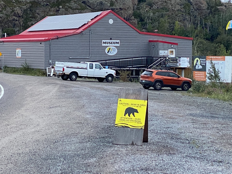 bear-sign