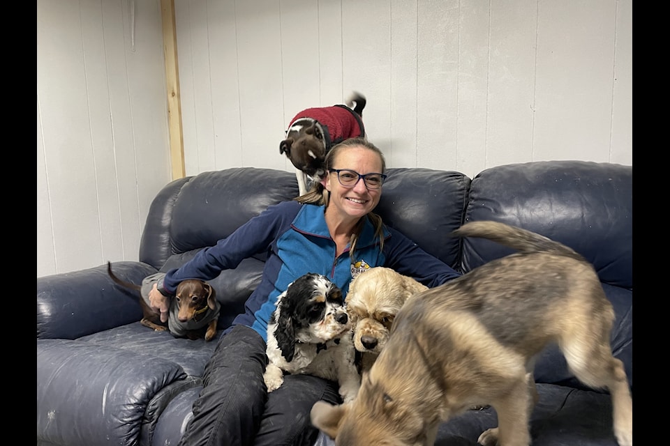 Christy Lewylle, owner and president of Qimmiq Kennels, pictured inside the day-care's newest heating space for tiny pups. 