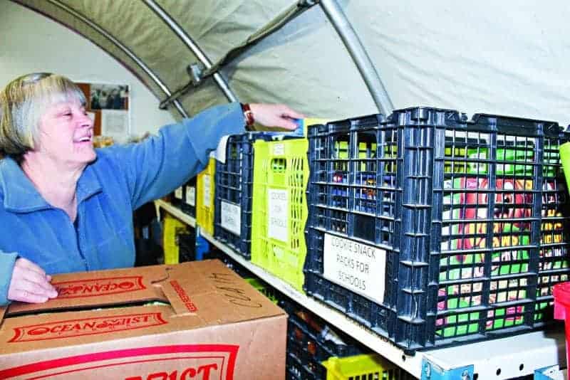 Marg Henderson fills crates with food for the various organizations which Food Rescue delivers to on Tuesday at the Food Rescue headquarters. The organization was established in 2008 with a mandate to stop food from being thrown in the trash and re-distribute to community groups that serve needy people in the city. NNSL file photo