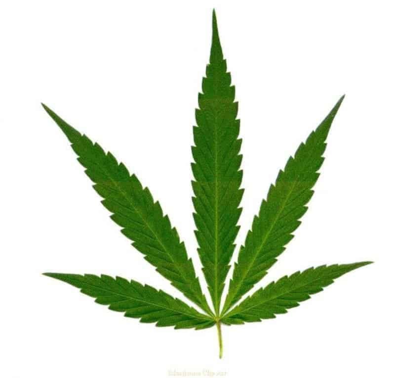 POT FILE FOR WEB