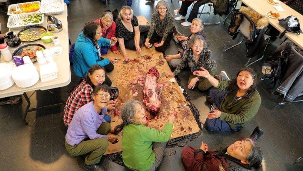 Some happy elders gather around seal meat at the Kenojuak Cultural Centre and Print Shop in Cape Dorset on Oct. 26. Pictured, clockwise from foreground, Mayoriak Quvianaqtuliaq (in light green), Eliakimi Nungusuituq, Kumarjuk Papigatok, Ulaiggi Killiktee, Novalinga Kingwatsiaq, Neevee Tapaungai, Koperkoaluk Reynolds, Iqadluk Qatsiya, Sana Pudlat, Annie Pootoogook and Kanayuk Bell. Colin Gibson photo