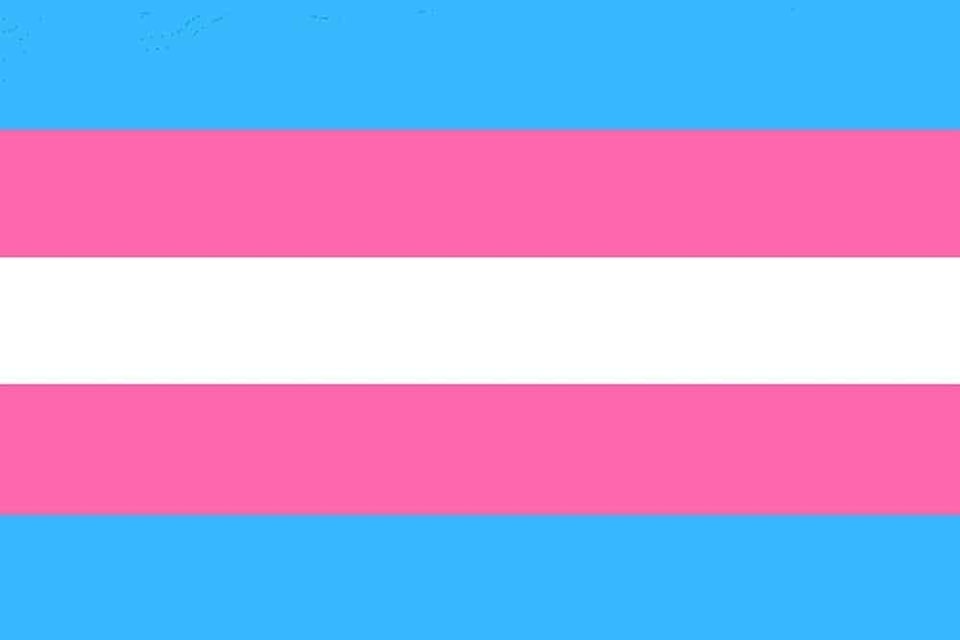 1024px-Transgender_Pride_Flag