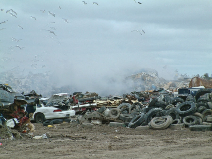 dump tires seagulls_cmyk