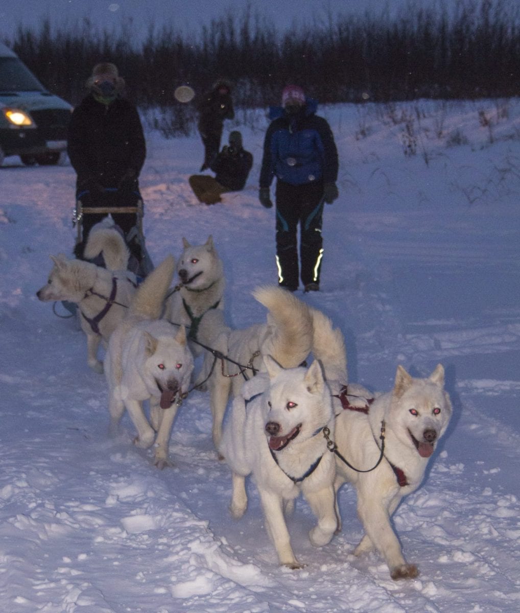 0501DogSledding_#_