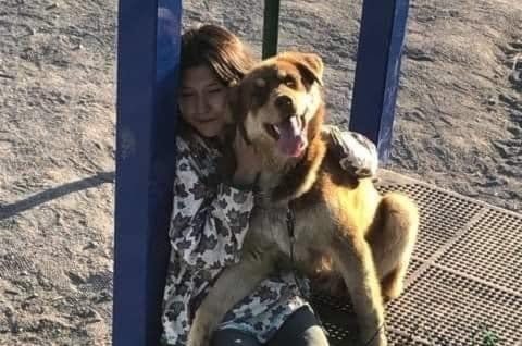 1806PuppyLove_#_
