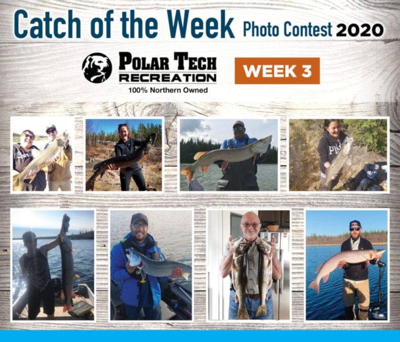 catch of the week - week3 700 x 600