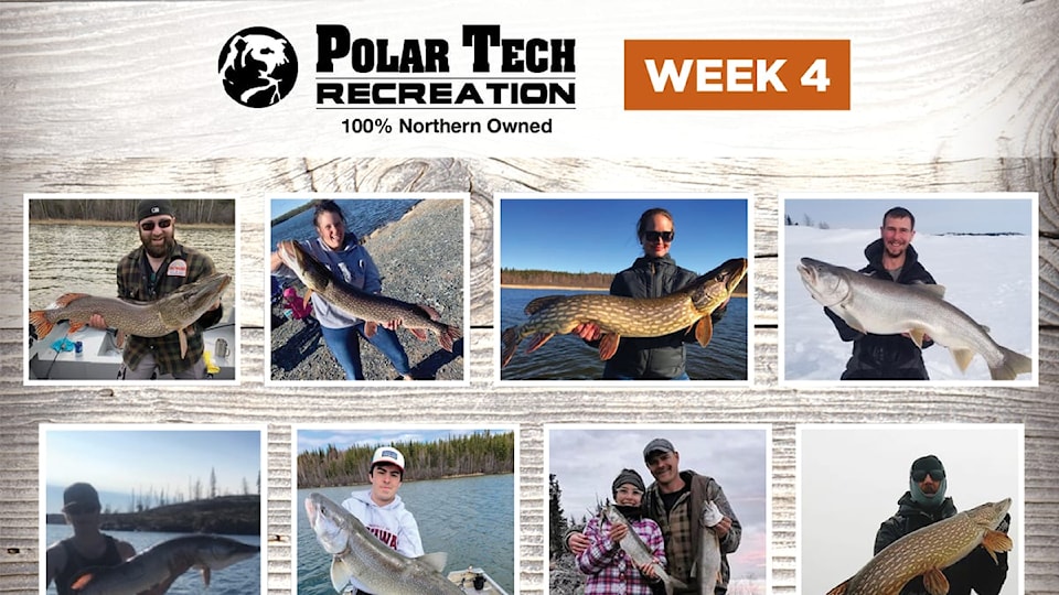 polar tech catch of the week